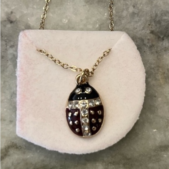 Ladybug necklace - Picture 1 of 8